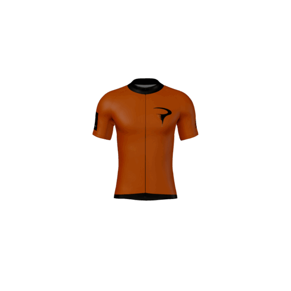 Mens Jerseys D-CCL-003 Mens Cycling Jersey. (x 2)