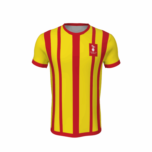 Stripes & Hoops D-SAH-011 Football Shirt Stripes & Hoops. (x 1)
